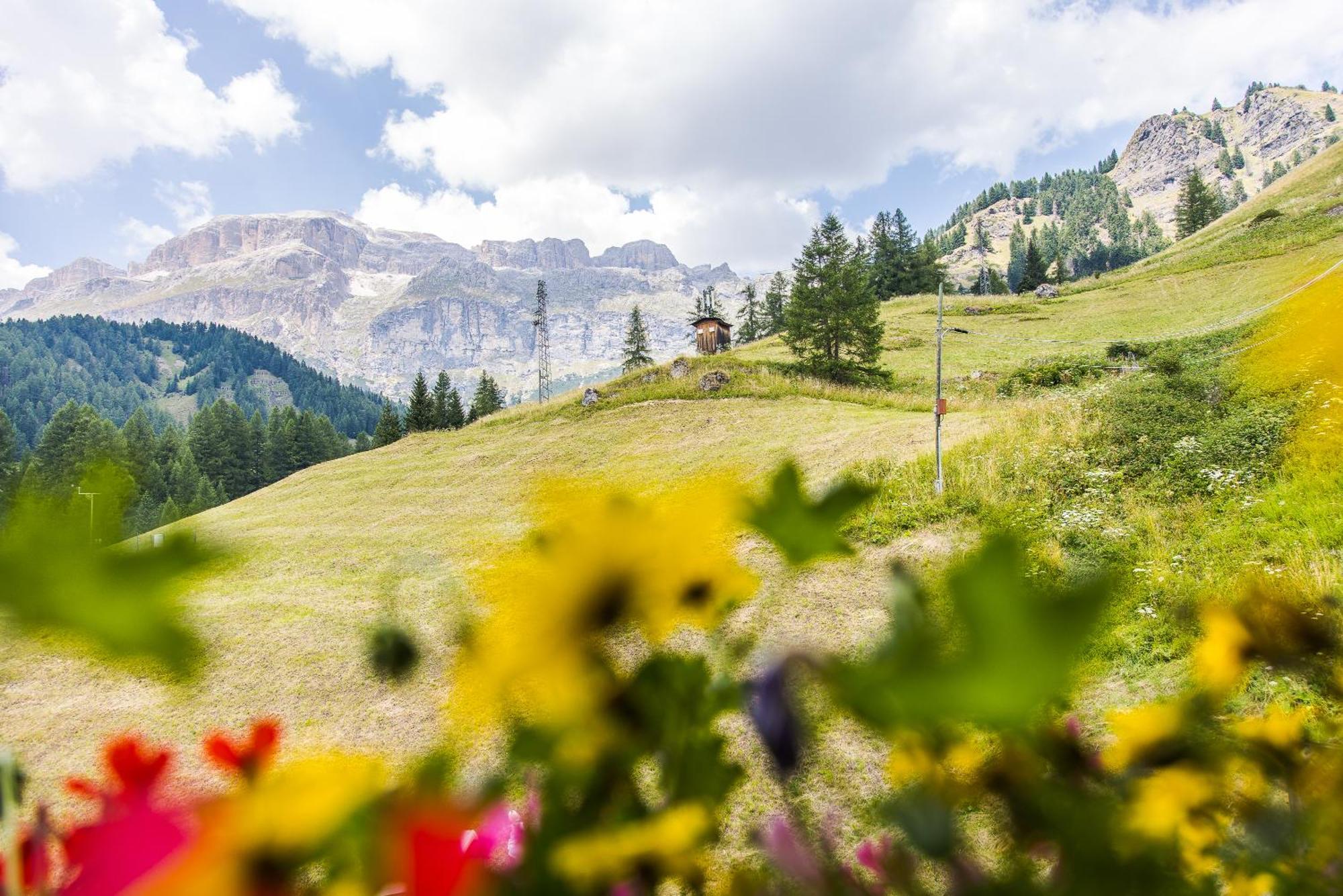 Chalet Pradat Arabba Szoba fotó